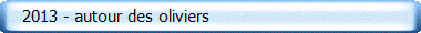    2013 - autour des oliviers